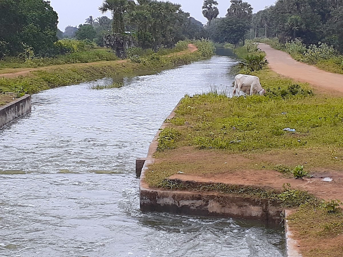 Integrating Grey And Green Water Infrastructure For Inclusive ...